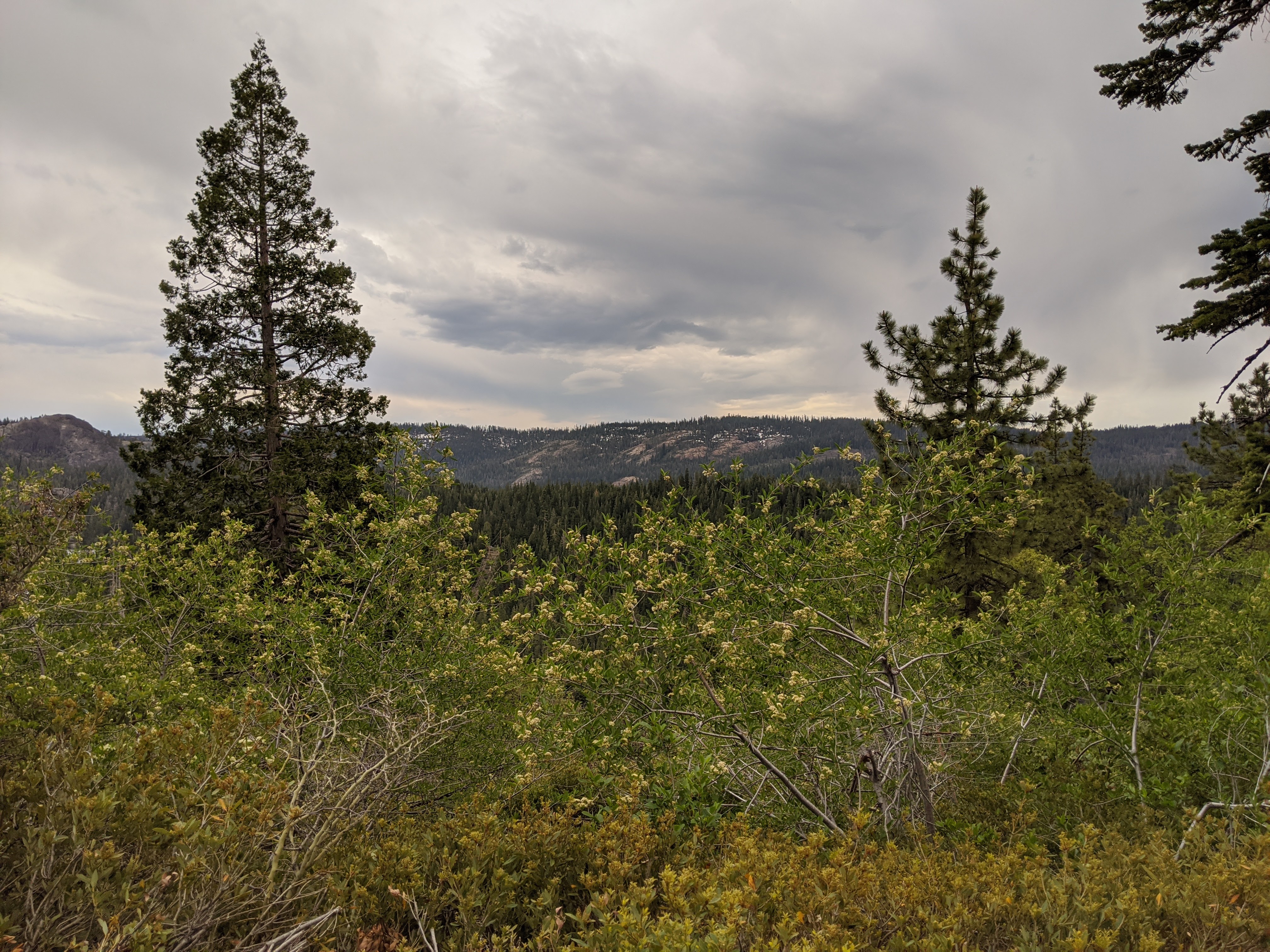 MVIMG_20200529_192644
